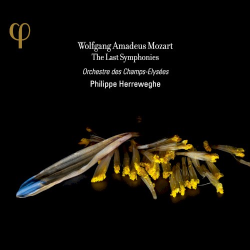The Last Symphonies