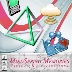 Virtual Hallucinations