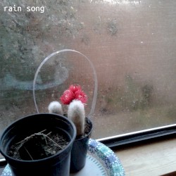 rain song