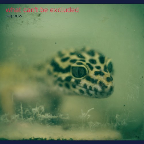 what can't be excluded