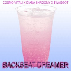 BACK SEAT DREAMER