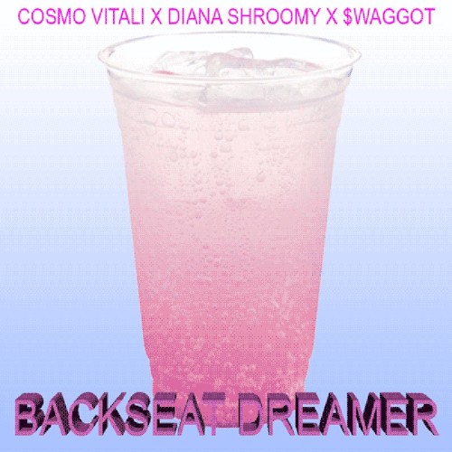 BACK SEAT DREAMER