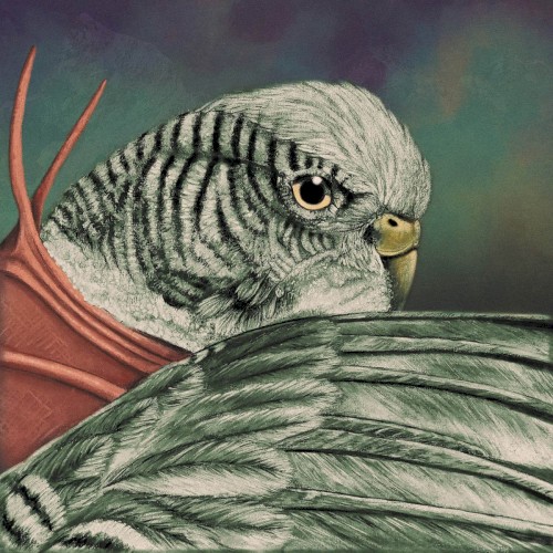 Never Turn Your Back On A Friend: 50 Years Later