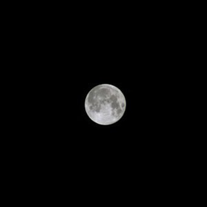 Moon Phantoms