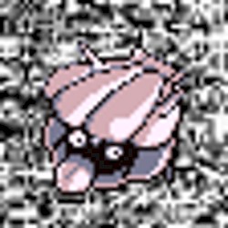 #090 ~ Shellder