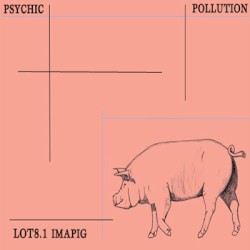 LOT8.1 IMAPIG