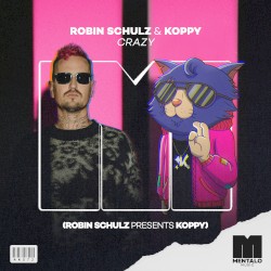 Crazy (extended mix)