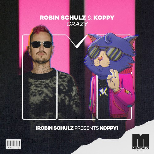Crazy (extended mix)