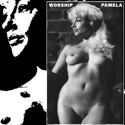 PAMELA
