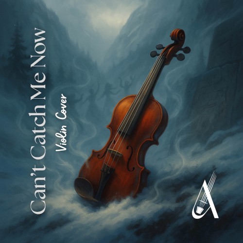 Can't Catch Me Now (Violin Cover)