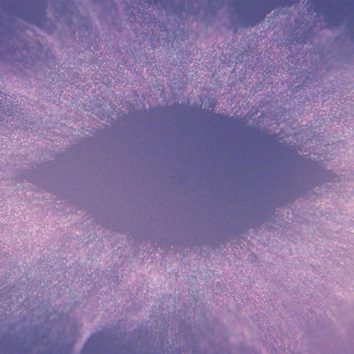 Music for Psychedelic Therapy
