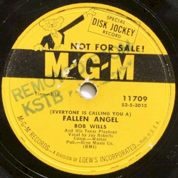 Fallen Angel / She's the Quarter Horse Type