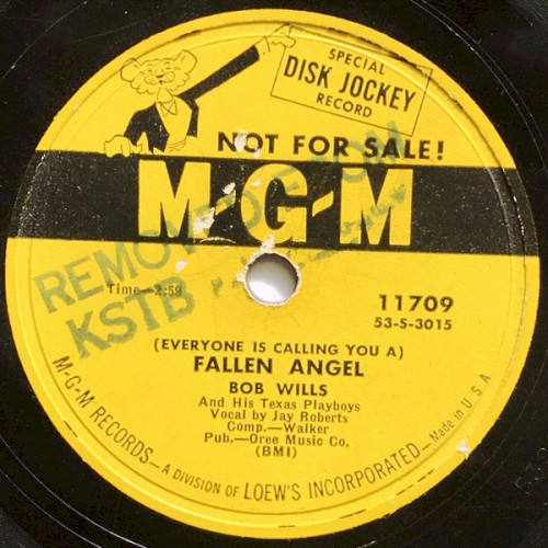 Fallen Angel / She's the Quarter Horse Type