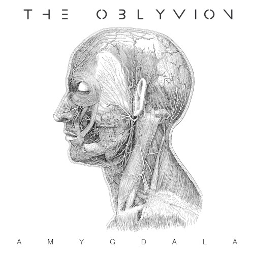 Amygdala