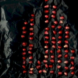 Abacus