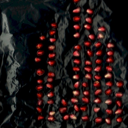 Abacus