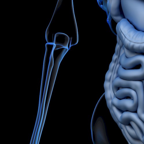 BAPTISM: 8. COMPUTER