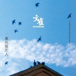 The Man Who Watches Scenery