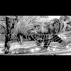 No God EP