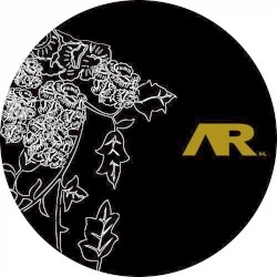 Kasmir Remixes