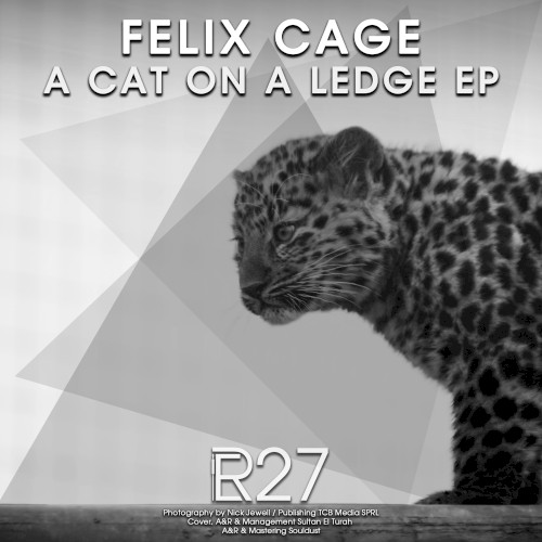A Cat On A Ledge EP