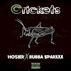 Crickets