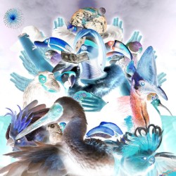 Mandala: Live