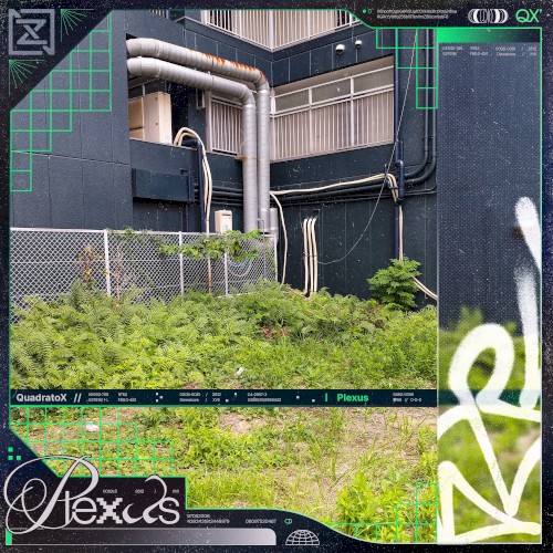 Plexus