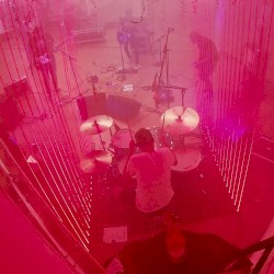 What's This All About? (live at Festiviral)