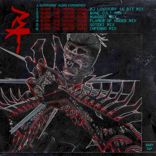 Burn the House Down (Cheat Codes)