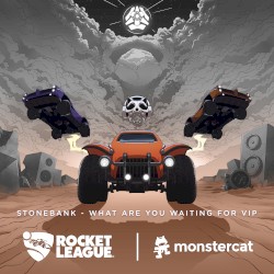 What Are You Waiting For (VIP)
