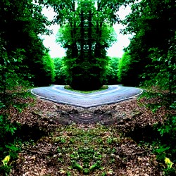 Metamorphic States Under Manipulation