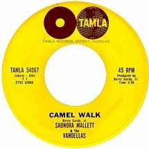 Camel Walk / It’s Gonna Be Hard Times