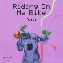 Riding on My Bike