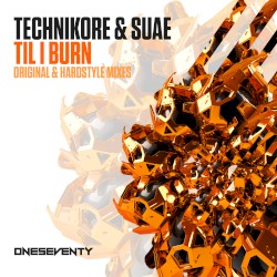 Til I Burn