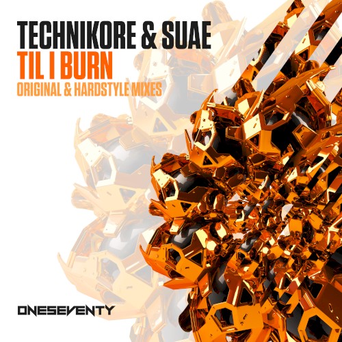 Til I Burn