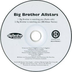 Big Brother Is Watching You