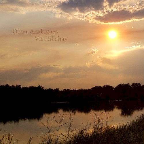 Other Analogues