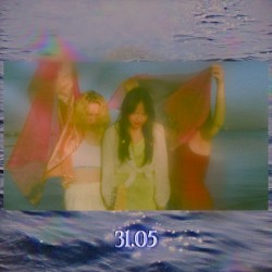 31.05