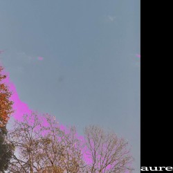 aure