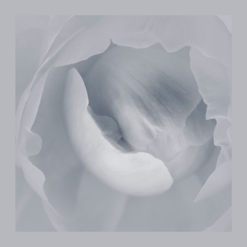 The Fabric of Silence