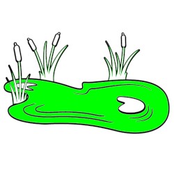 pond