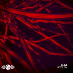 Mesoderm