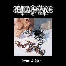 Wake & Hate