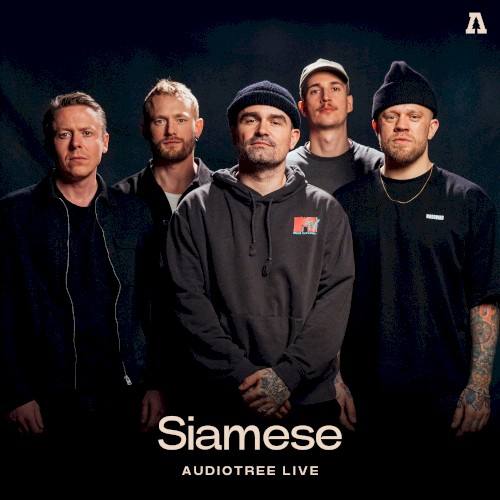 Audiotree Live