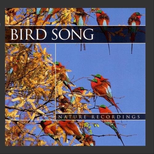 Nature Recordings: Birdsong