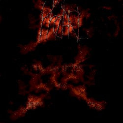 Drone Nightmares - II