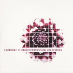 A Selection of Ambient Explorations and Grooves