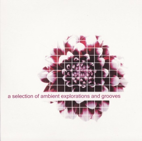 A Selection of Ambient Explorations and Grooves