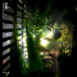 天使
